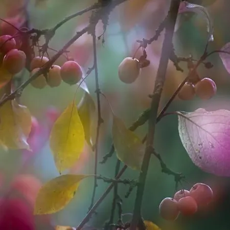 Mit Romantischem Garten An Der Märchenstraße! Apartment Reinhardshagen