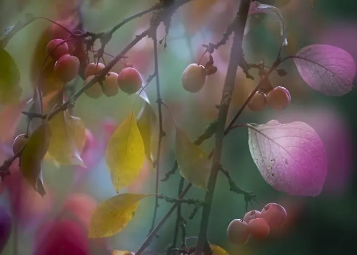 Mit Romantischem Garten An Der Maerchenstrasse! 아파트 Reinhardshagen