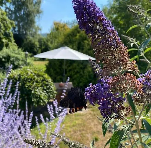 아파트 Mit Romantischem Garten An Der Maerchenstrasse! Reinhardshagen